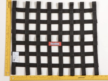 RaceQuip Black 18 X 21 SFI Ribbon Net For Sale